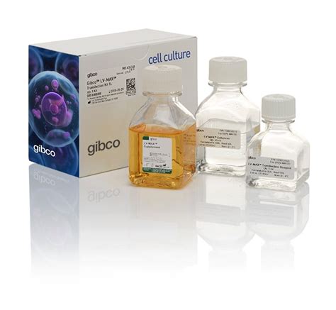 lv max transfection kit